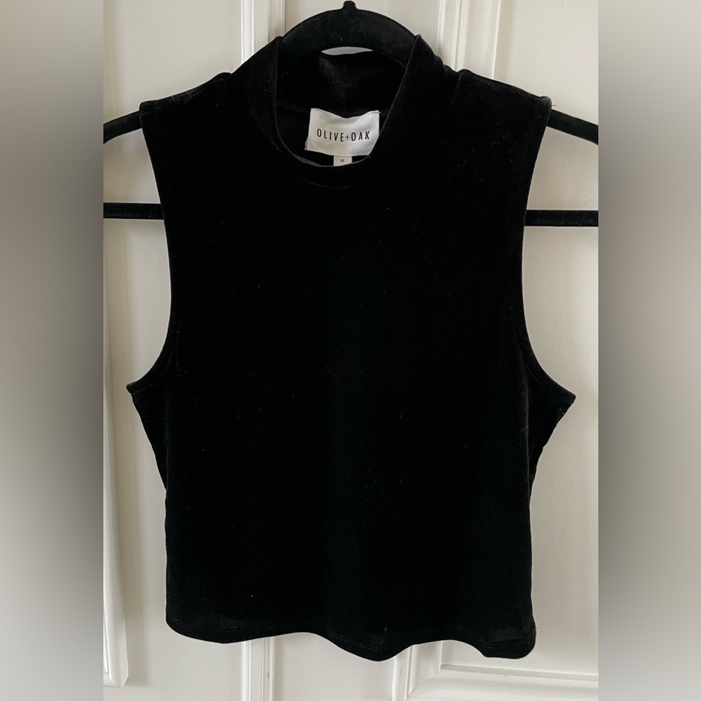 Olive+Oak cute black velvet top.